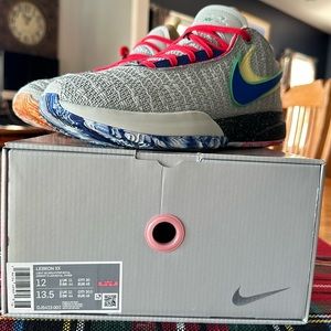 Nike Lebron 20 basketball shoes.